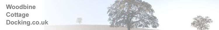header image